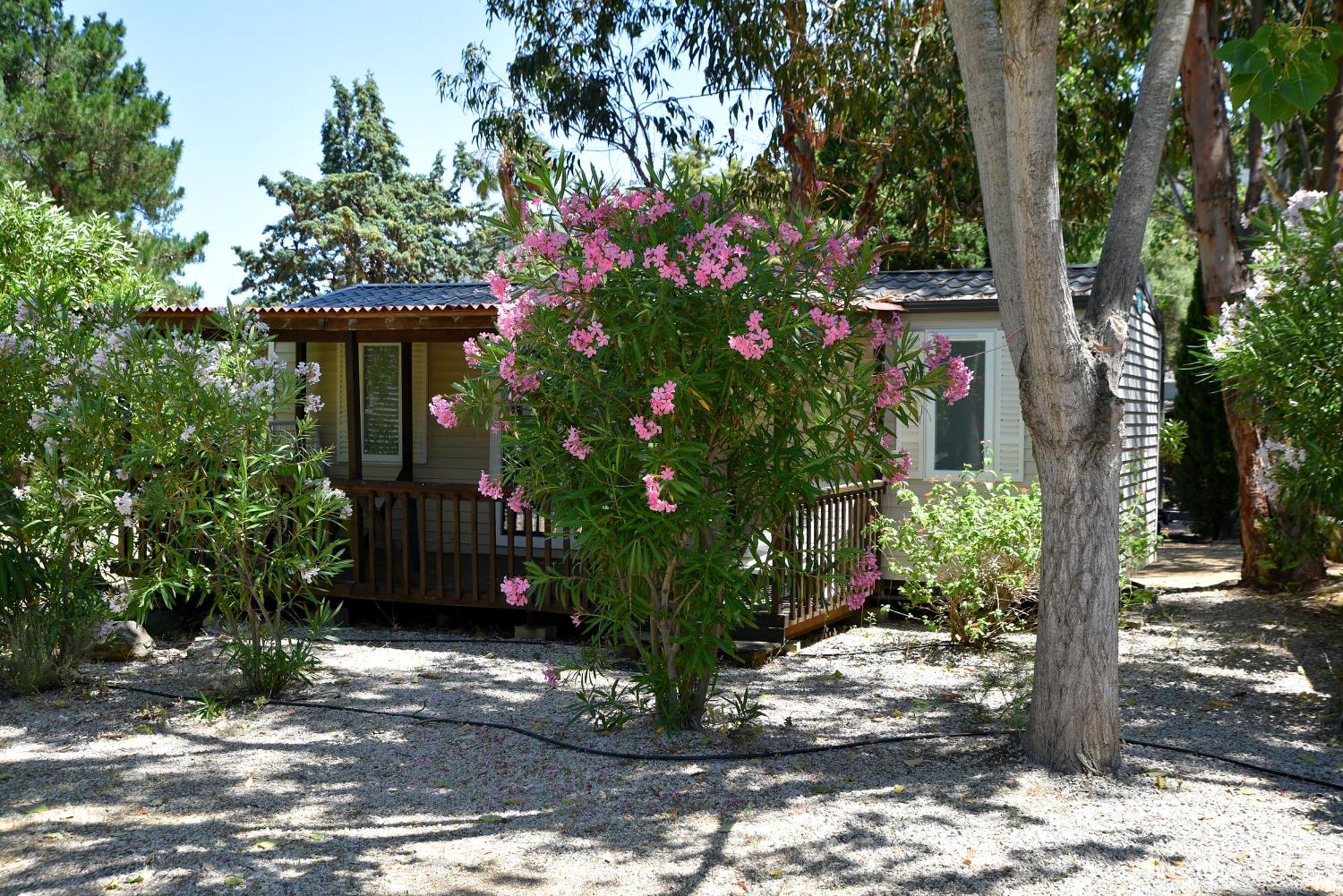 Hotel Location Du Ranch Algajola  Zewnętrze zdjęcie