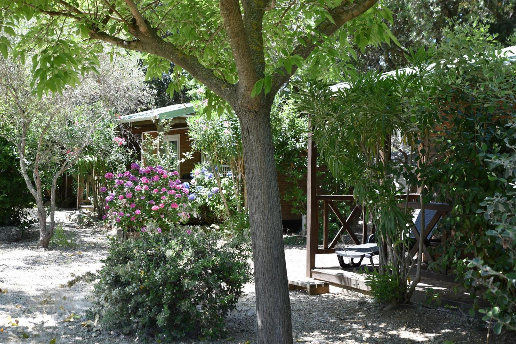 Hotel Location Du Ranch Algajola  Zewnętrze zdjęcie